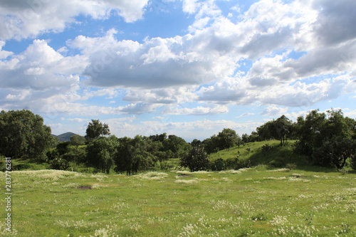 flowers, clouds and rocks in harmony with the gods