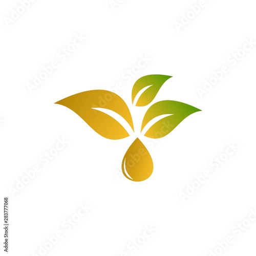 leaf oil vektor logo design template