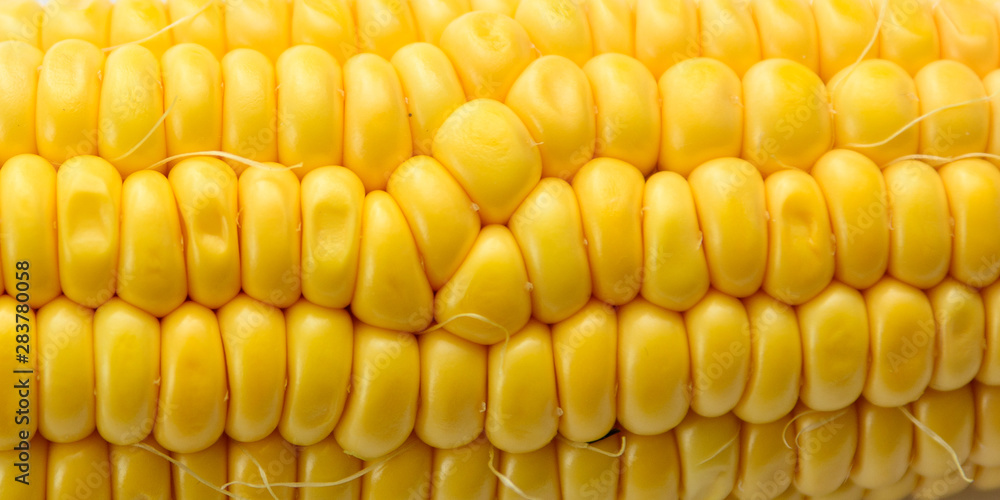 grain of corn on a white background close-up. Concept - Diet grain of corn on a white background close-up. Concept - Diet