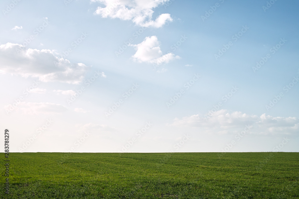 green field and blue sky with clouds green field and blue sky with clouds