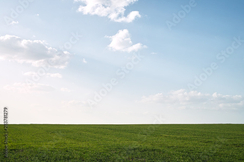 green field and blue sky with clouds