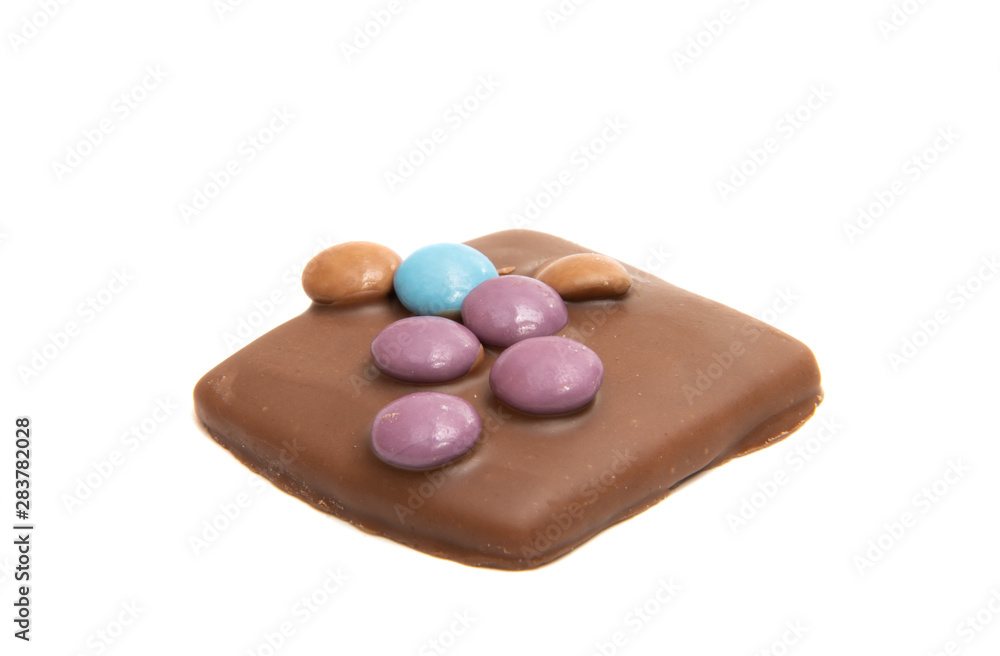 cookies with chocolate isolated cookies with chocolate isolated