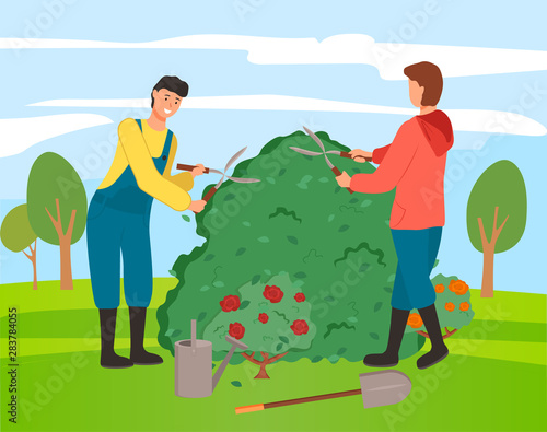 People in gardner caring for bushes of roses vector, man and woman with tools. Male using scissors to cut branches, farming characters on rural area