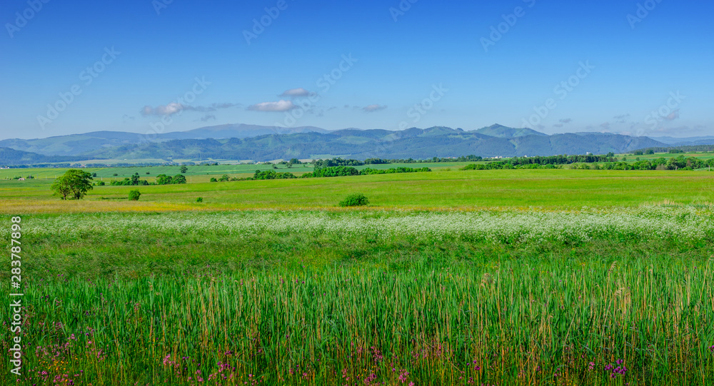 Tatra Mountains, Slovakia. Scenic landscape of a mountain range on a summer day. Tatra Mountains, Slovakia. Scenic landscape of a mountain range on a summer day.