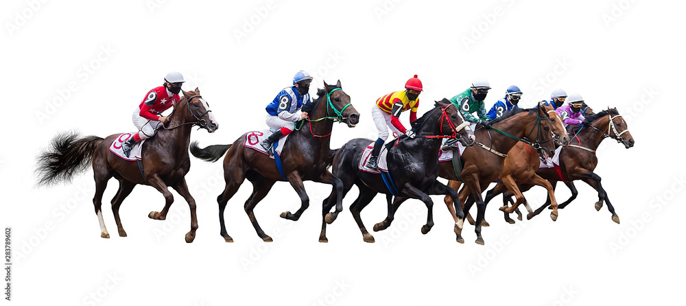 horse racing jockey isolated on white background Stock Photo | Adobe Stock
