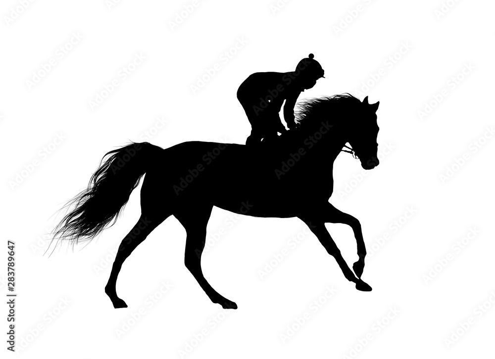 horse racing jumping jockey isolated on white background