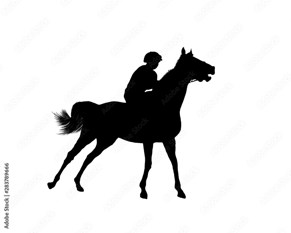 horse racing jumping jockey isolated on white background horse racing jumping jockey isolated on white background