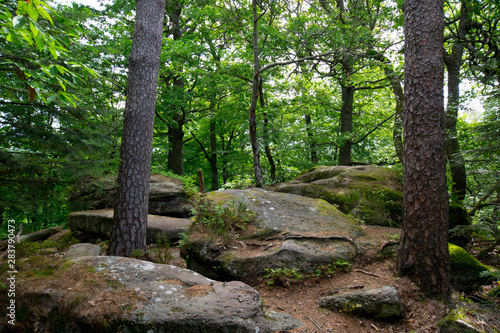 Mystischer Megalitenpfad nahe des Chateau de Guirbaden in den Vogesen