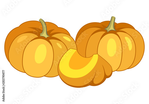 Orange pumpkins vector illustration isolated on white background.