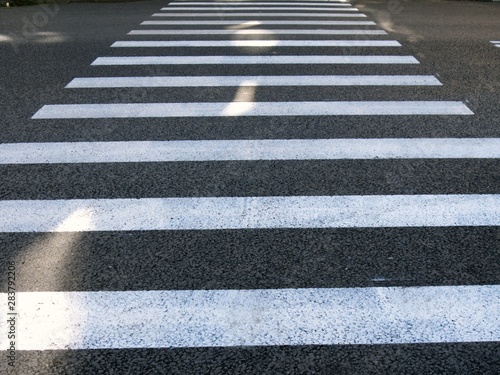  The pedestrian Zebra crossing across the asphalt road