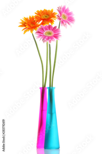 Colorful gerbera flower with round vase
