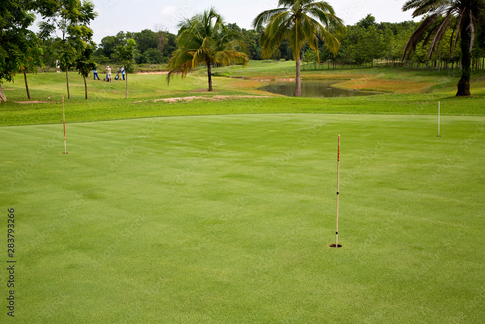 Obraz premium Golf hole in a green grass field background