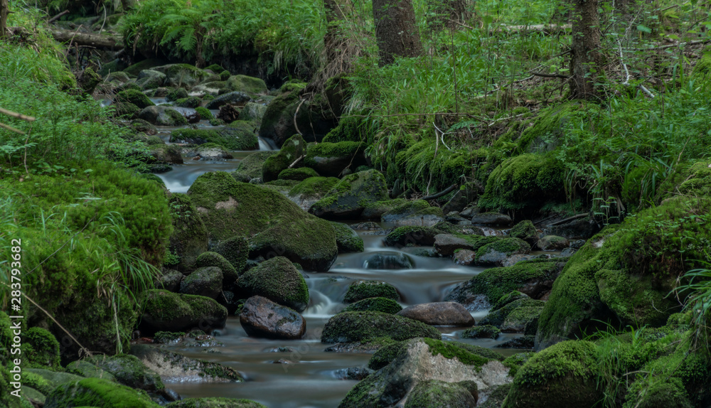 Bystrina creek in summer nice morning in Krusne mountains near Sokolov town Bystrina creek in summer nice morning in Krusne mountains near Sokolov town
