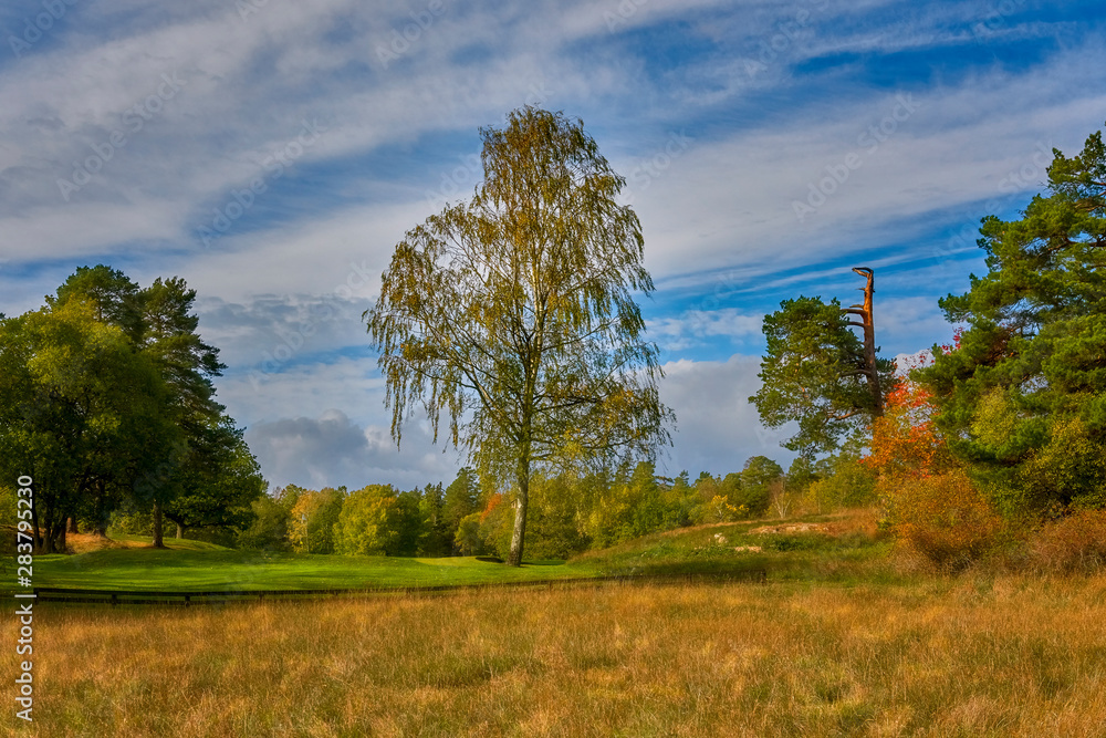 Fototapeta premium Sweden, Stockholm, autumn in the Bagarmossen park