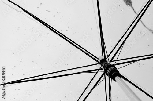 umbrella on white background Drops on an umbrella