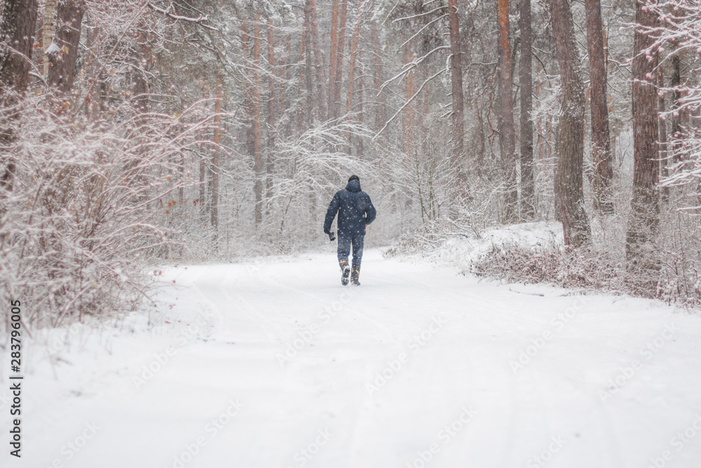 A man walks through the new year's snow cold romantic forest.