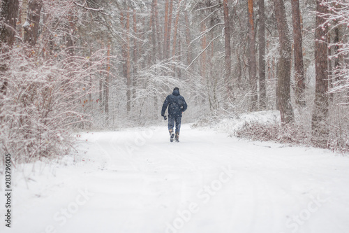 A man walks through the new year's snow cold romantic forest.