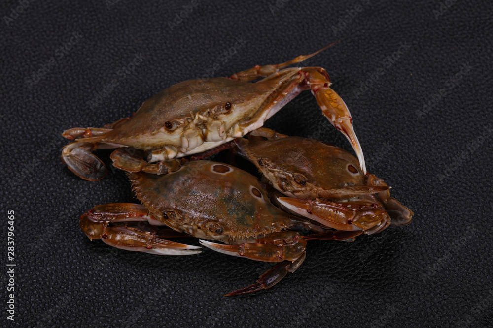 Raw crab - ready for cooking Raw crab - ready for cooking