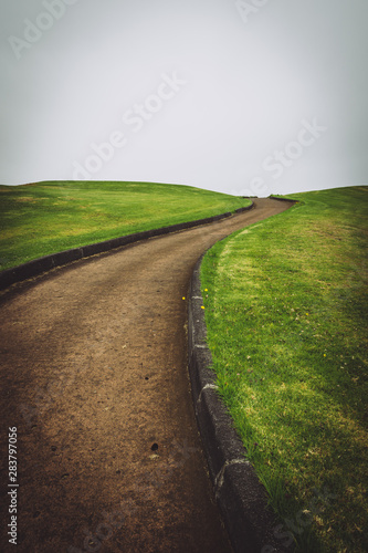 Fotografie, Obraz Brown winding path uphill with green meadow and no trees