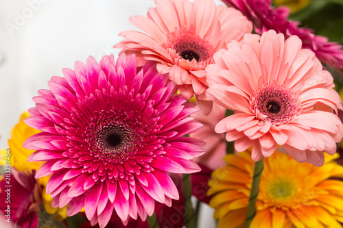 Gerbera daisy bouquet