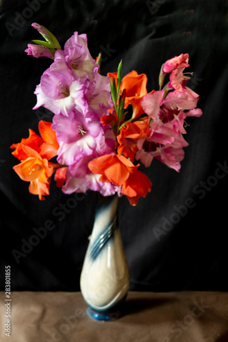 Bouquet from colour of the gladiolus in vase on dark background photo