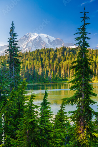 Overlooking a lake and a forest of pine trees with Mt. Rainier looming in the distance at Mt. Rainier National Park.