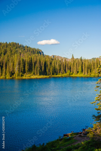 Overlooking a pristine blue lake with and pine trees with a lone puffy white cloud on a blue sky day at Mt. Rainier National Park.