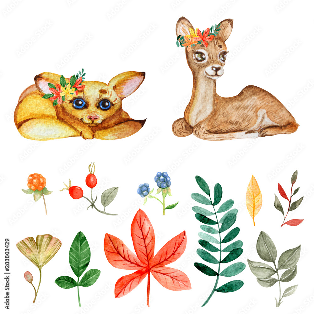 Obraz Watercolor autumn set. Cute animal baby fox and deer. Leaves red maple,rosehip,cloudberry,ginkgo,green branch. Fall season clip-art. Thanksgiving design on white background. Perfect for nursery poster