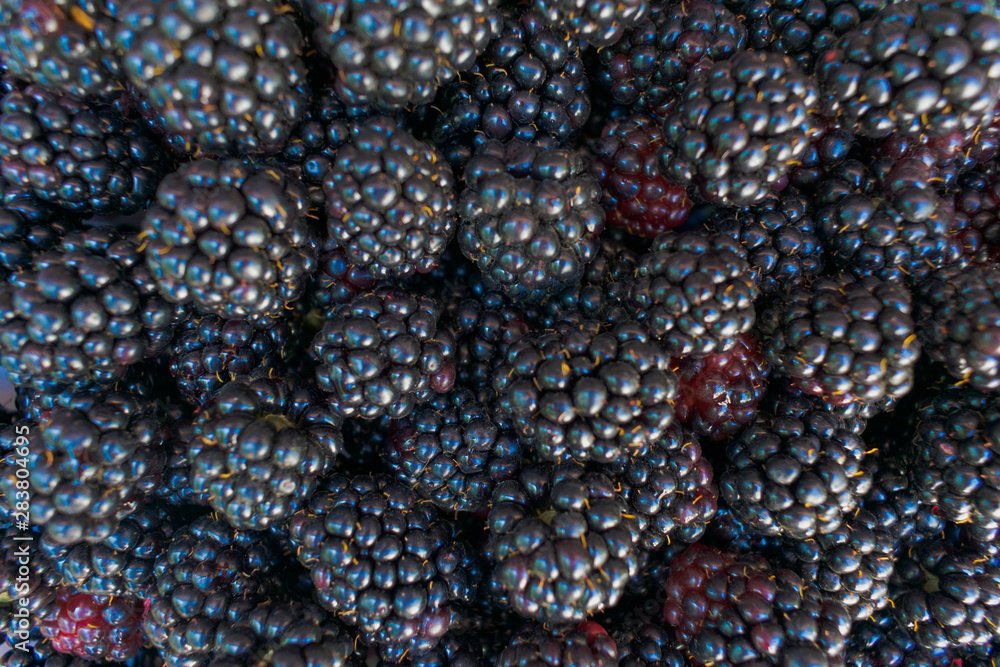Fresh ripe blackberries as background, top view. Fresh ripe blackberries as background, top view.