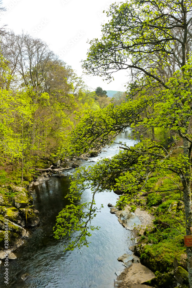 Deveron River with rocks and forest on the bank, Huntly, Scotland, UK Deveron River with rocks and forest on the bank, Huntly, Scotland, UK