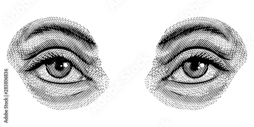 Human eyes in vintage style. Female look and eyebrows. Visual System, Sensory Organ Components. Hand drawn engraved sketch subject physiology or anatomy.
