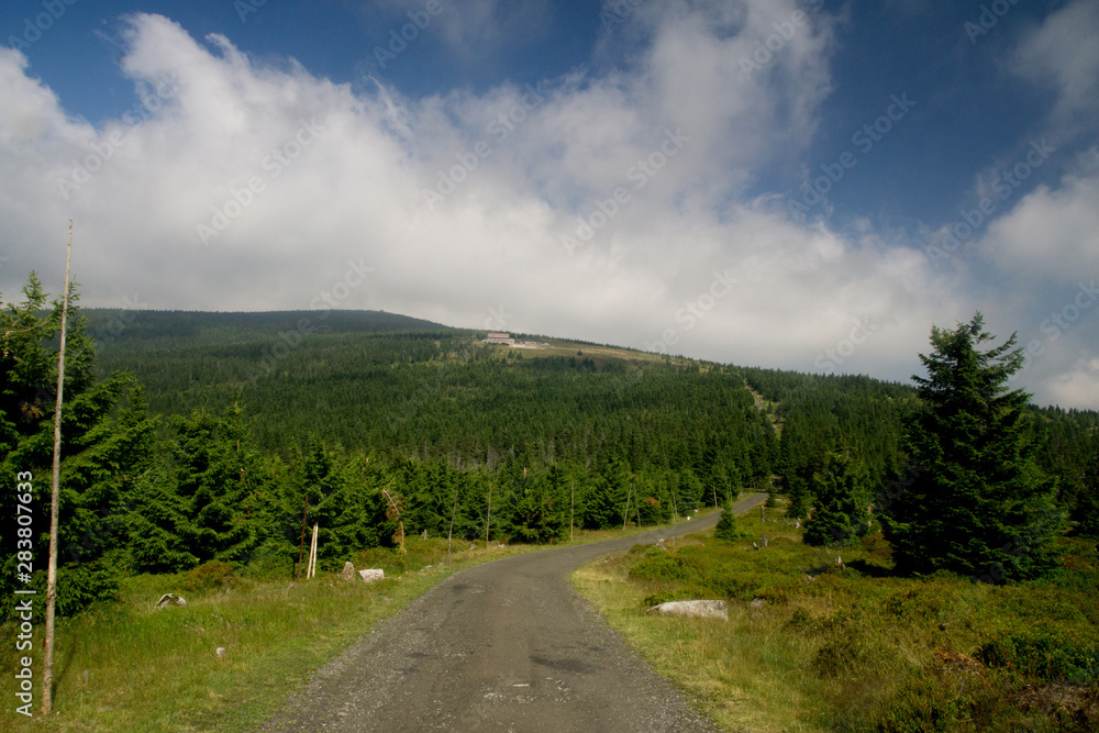 main karkonosze trail in the karkonosze/ krkonose / giant mountains near the karkonosze pass on the polish- czech border