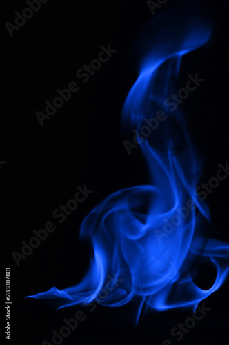 Beautiful fire blue flames on a black background.