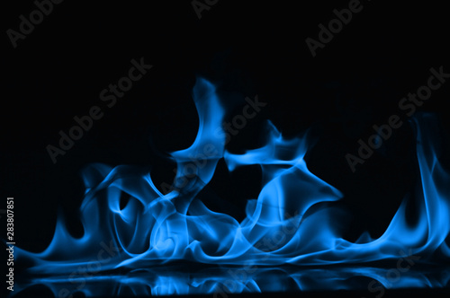 Beautiful fire blue flames on a black background.
