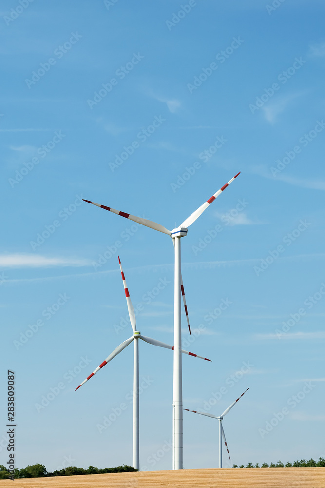 Fototapeta premium View of a wind power plant on a background of blue sky and fields with grain crops. The concept of environmental electricity production using a wind farm.