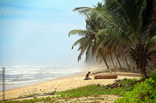 palm trees on the beach in Ghana