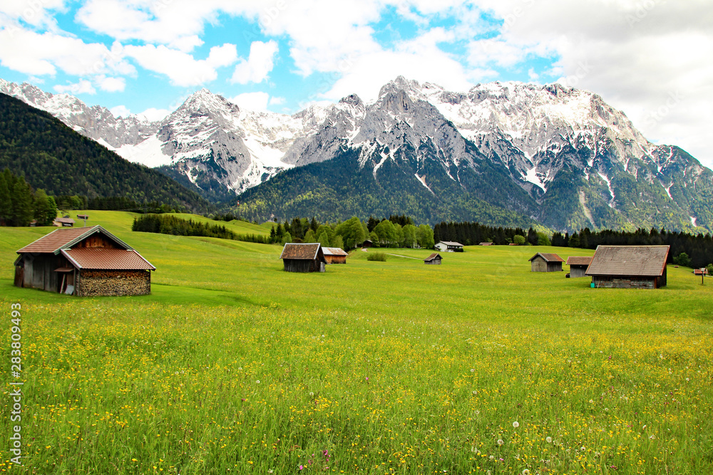 green meadow with houses in the Alps