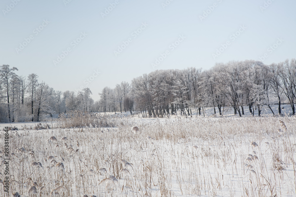winter landscape winter landscape
