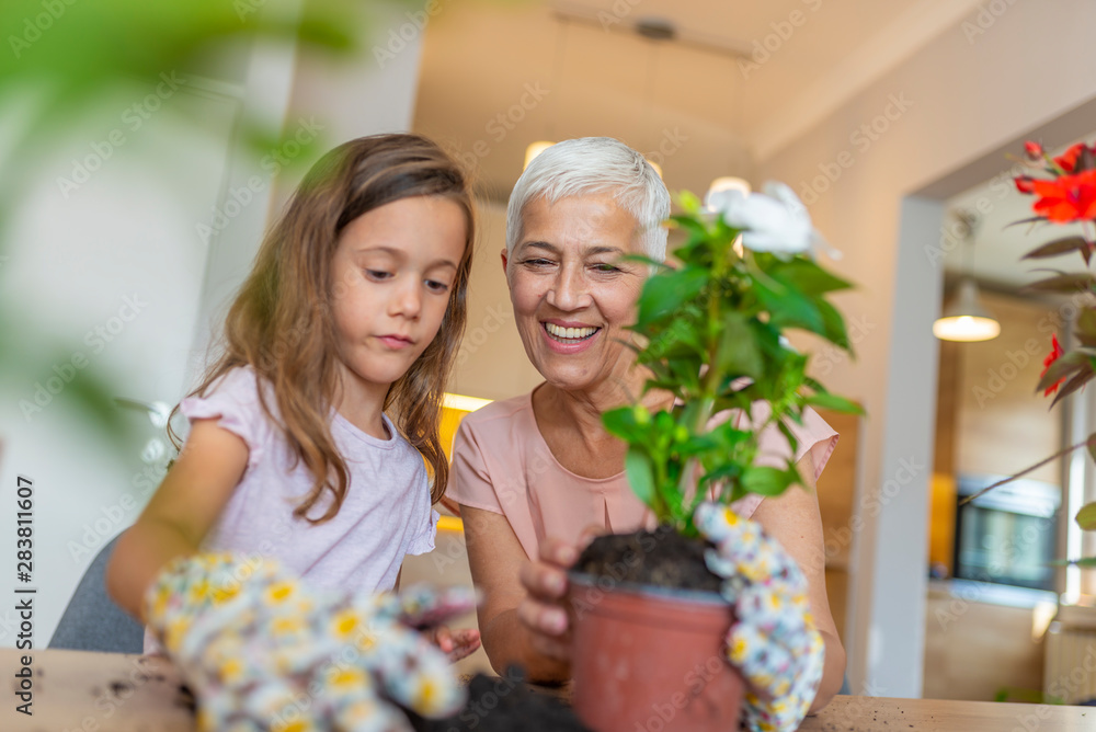 Little cute girl and her grandmother are spending time together at home. Happy Grandmother with her granddaughter preparing flowers for planting during gardening work.