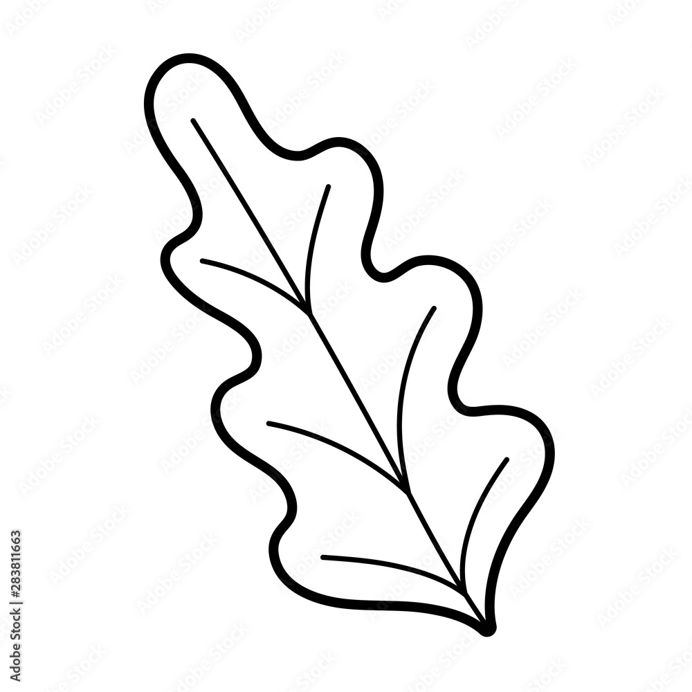 Fototapeta premium Isolated leaf design vector illustration