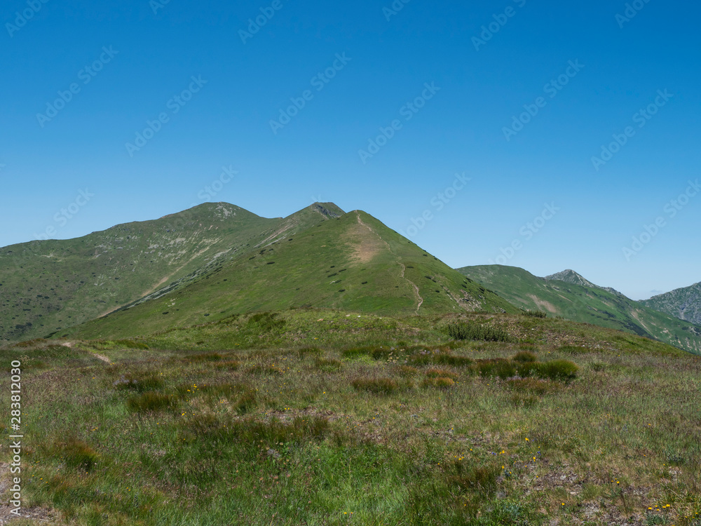 Beautiful mountain landscape of Western Tatra mountains or Rohace with hiking trail on ridge. Sharp green grassy rocky mountain peaks with scrub pine and alpine flower meadow. Summer blue sky