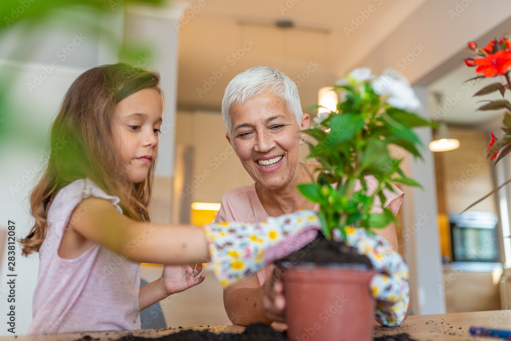 Girl and grandmother gardening. Preparing flowers for planting during gardening work. Plant care. Gardening is more than hobby. Little cute girl and her grandmother are spending time together at home Girl and grandmother gardening. Preparing flowers for planting during gardening work. Plant care. Gardening is more than hobby. Little cute girl and her grandmother are spending time together at home