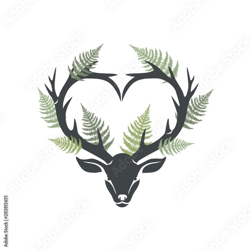 Heart shaped deer head with horns