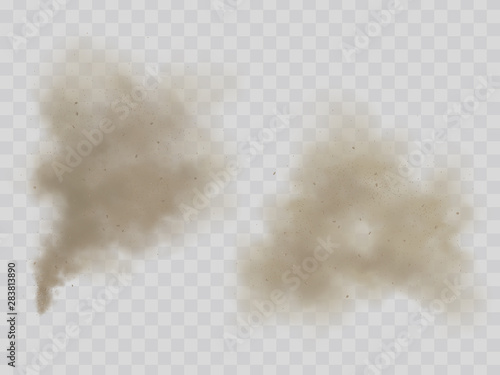 Clouds of smoke or dust with dirt microscopic particles 3d realistic vector illustration isolated on transparent background. House cleaning, environmental pollution, allergy concept design element