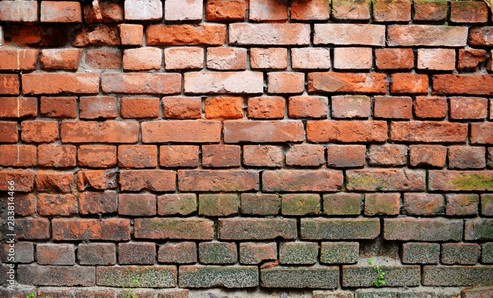 Rough weathered bright brick wall with green moss Rough weathered bright brick wall with green moss