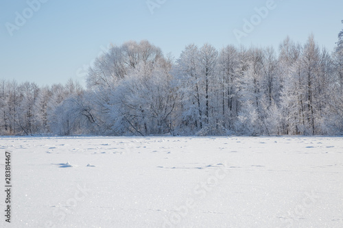 winter mountain landscape with snowy trees and snow © Ольга Петушкова