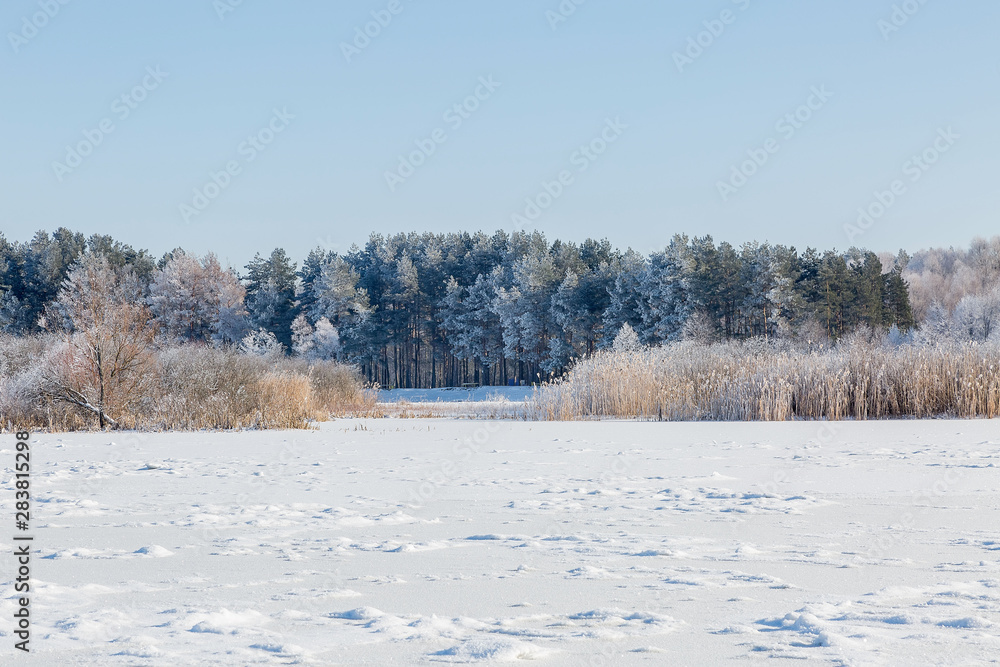 winter rural landscape with frozen trees and snow winter rural landscape with frozen trees and snow