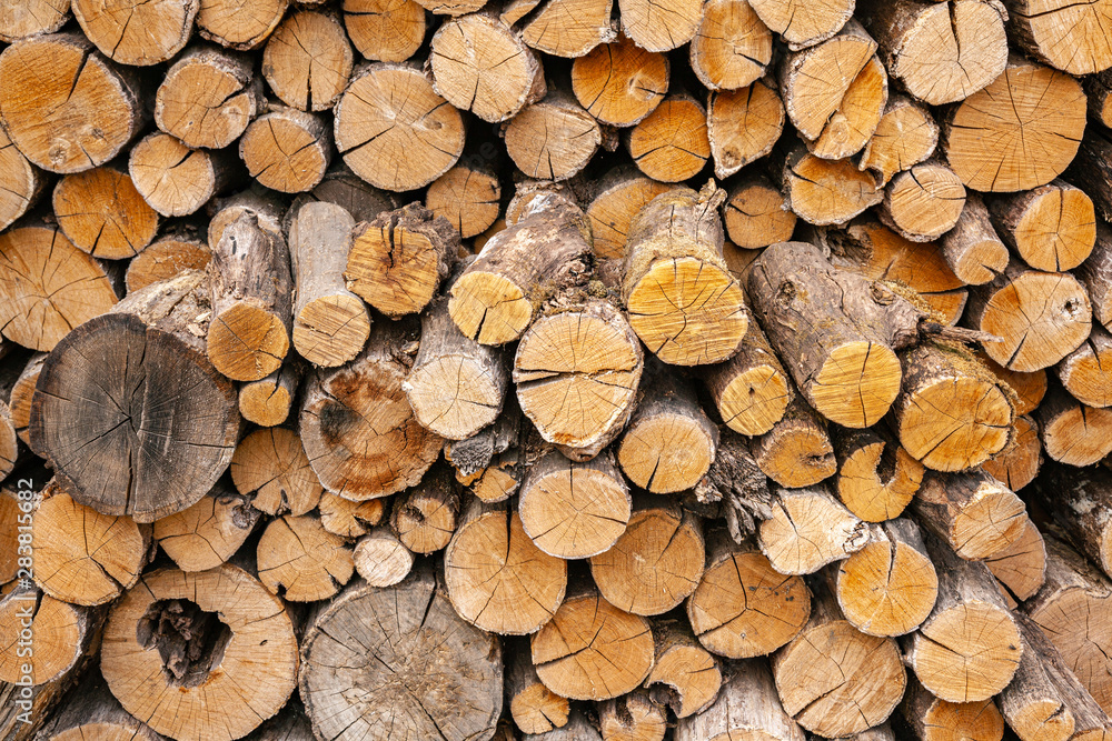 Dry oak firewood stacked in a pile, not chopped whole wood for winter heating fireplace. Natural wood background. Dry oak firewood stacked in a pile, not chopped whole wood for winter heating fireplace. Natural wood background.