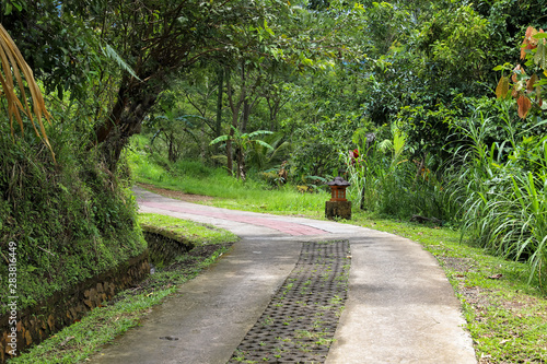 Green rice fields on Bali island, Jatiluwih near Ubud, Indonesia