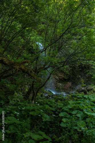 Green colorful small waterfall throw leaves